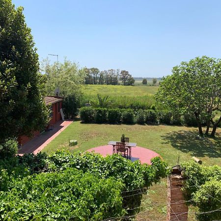 Casale Degli Ulivi Maccarese Villa Le Cerquete Exterior foto