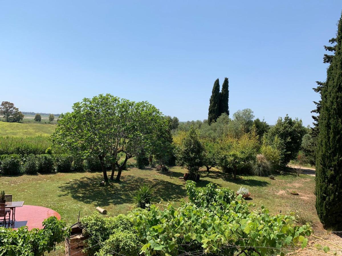Casale Degli Ulivi Maccarese Villa Le Cerquete Exterior foto