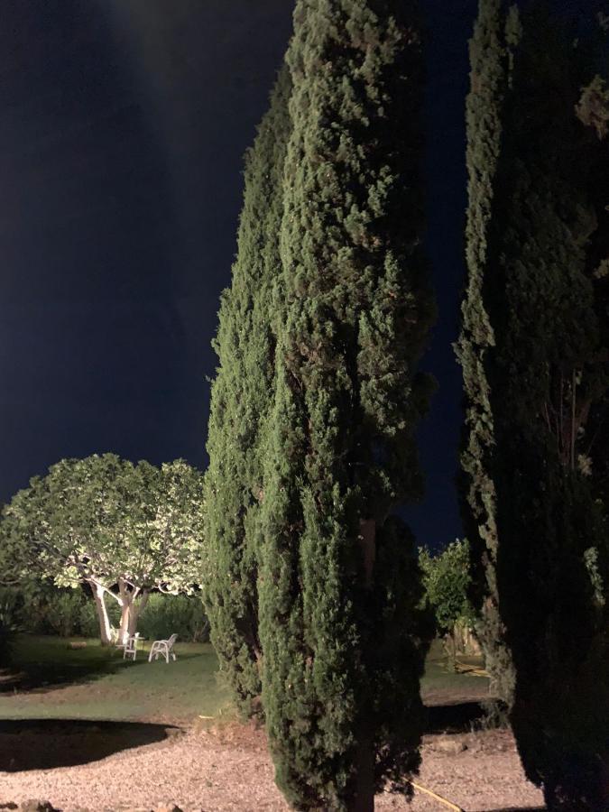 Casale Degli Ulivi Maccarese Villa Le Cerquete Exterior foto