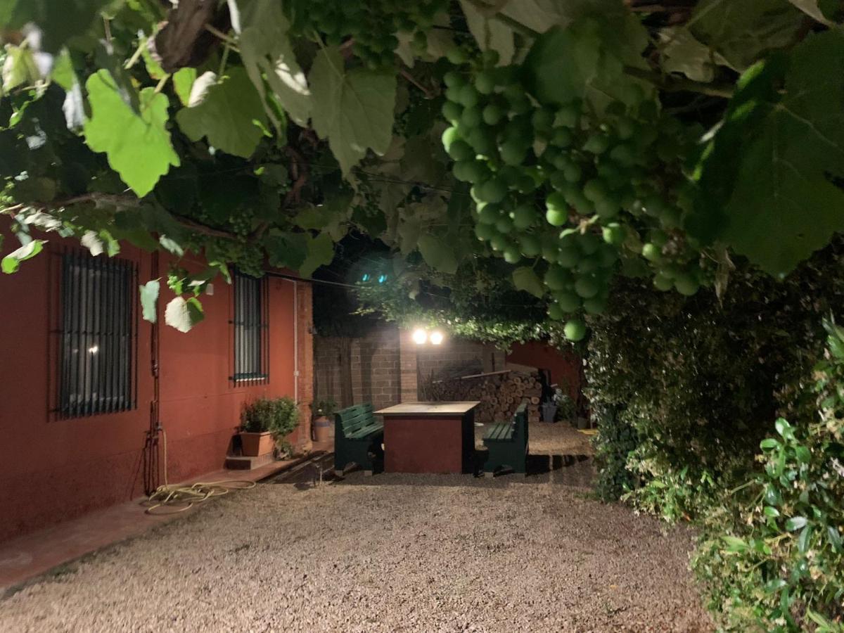Casale Degli Ulivi Maccarese Villa Le Cerquete Exterior foto